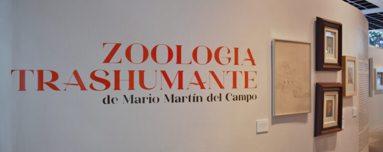 El Museo de Arte Popular presenta exposición del artista Martín del Campo